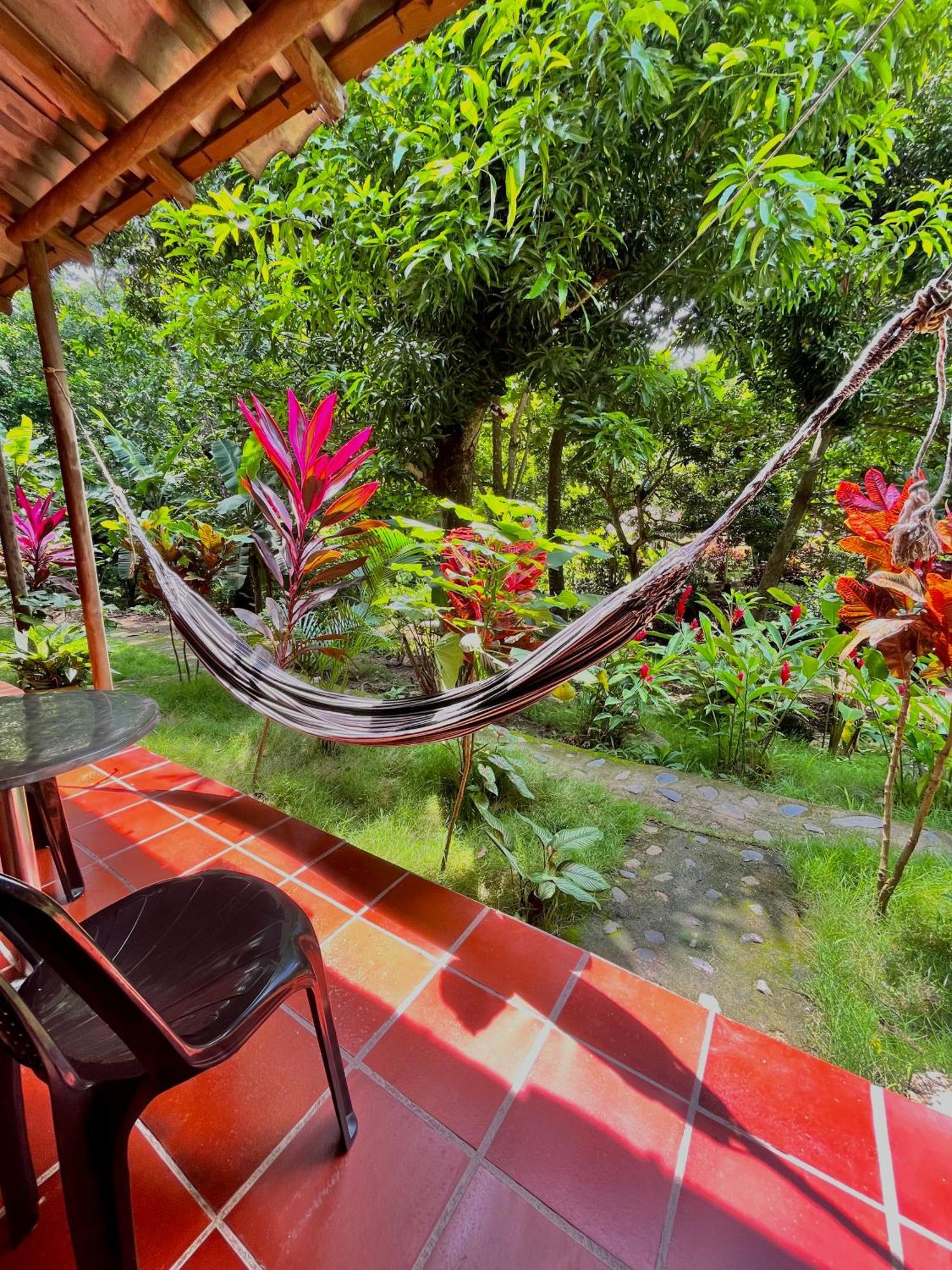 Santuario Tayrona Hostel Калабасо Экстерьер фото